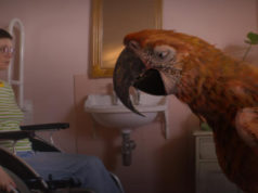 Tuesday: El último abrazo