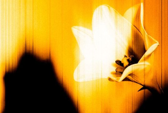 U2 lanza “Easter Lily”, su nuevo EP sorpresa cargado de introspección